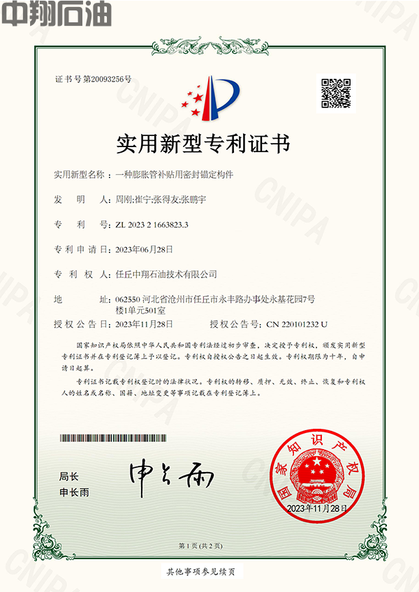 （實(shí)用新型專利）一種膨脹管補(bǔ)貼用密封錨定構(gòu)件